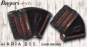 Bugari Evo Haria B55 Dark Brown Norsk system
