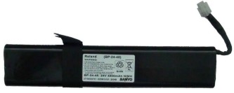 Roland batteripakke til  Roland FR5/7/8 /7X og 8X trekkspill    